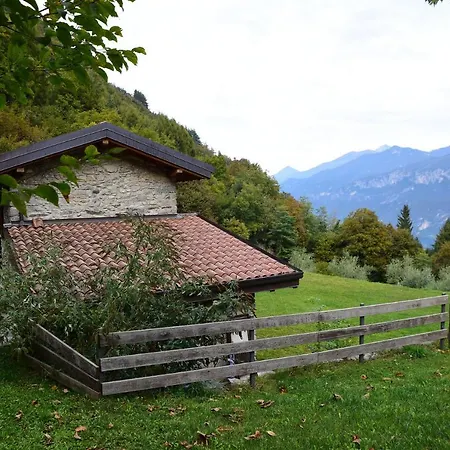 Easy Welcome Valle Degli Ulivi - Cassiopea Casa vacanze *